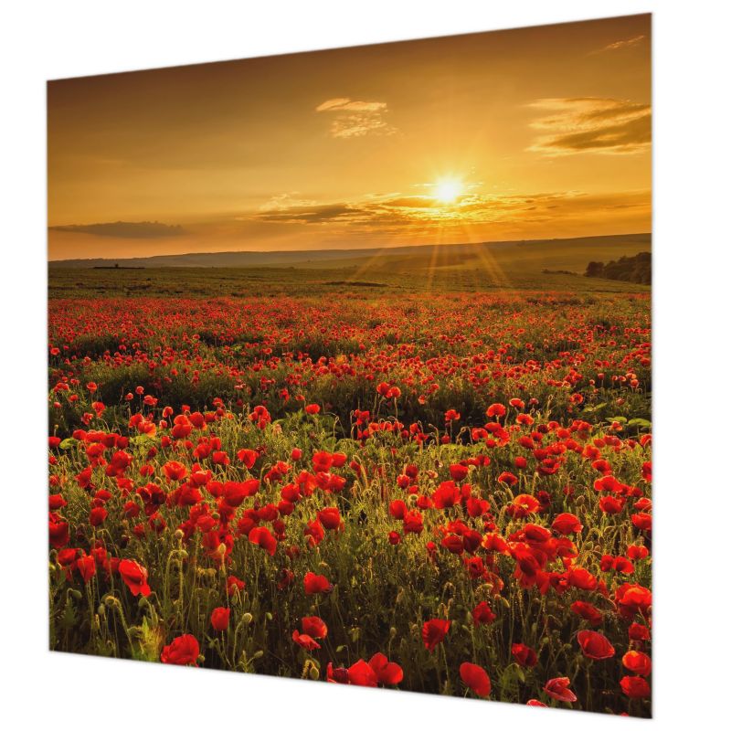 Tapeta Ścienna Do Kuchni I Jadalni Tulup 250x250 cm Makowe Pole Do Salonu, Do Sypialni 1 szt.