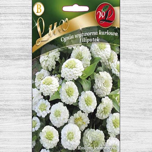 1 szt, Cynia wytworna karłowa Liliputek biała - Nasiona: Ilość w opakowaniu: 0.5 g