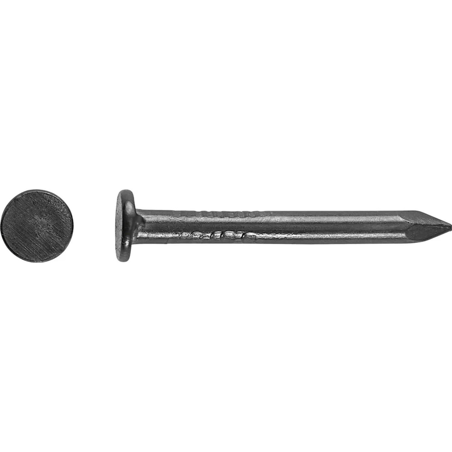 LUX-TOOLS Gwoździe tapicerskie gładkie Ø 1,6 mm x 16 mm 200 szt