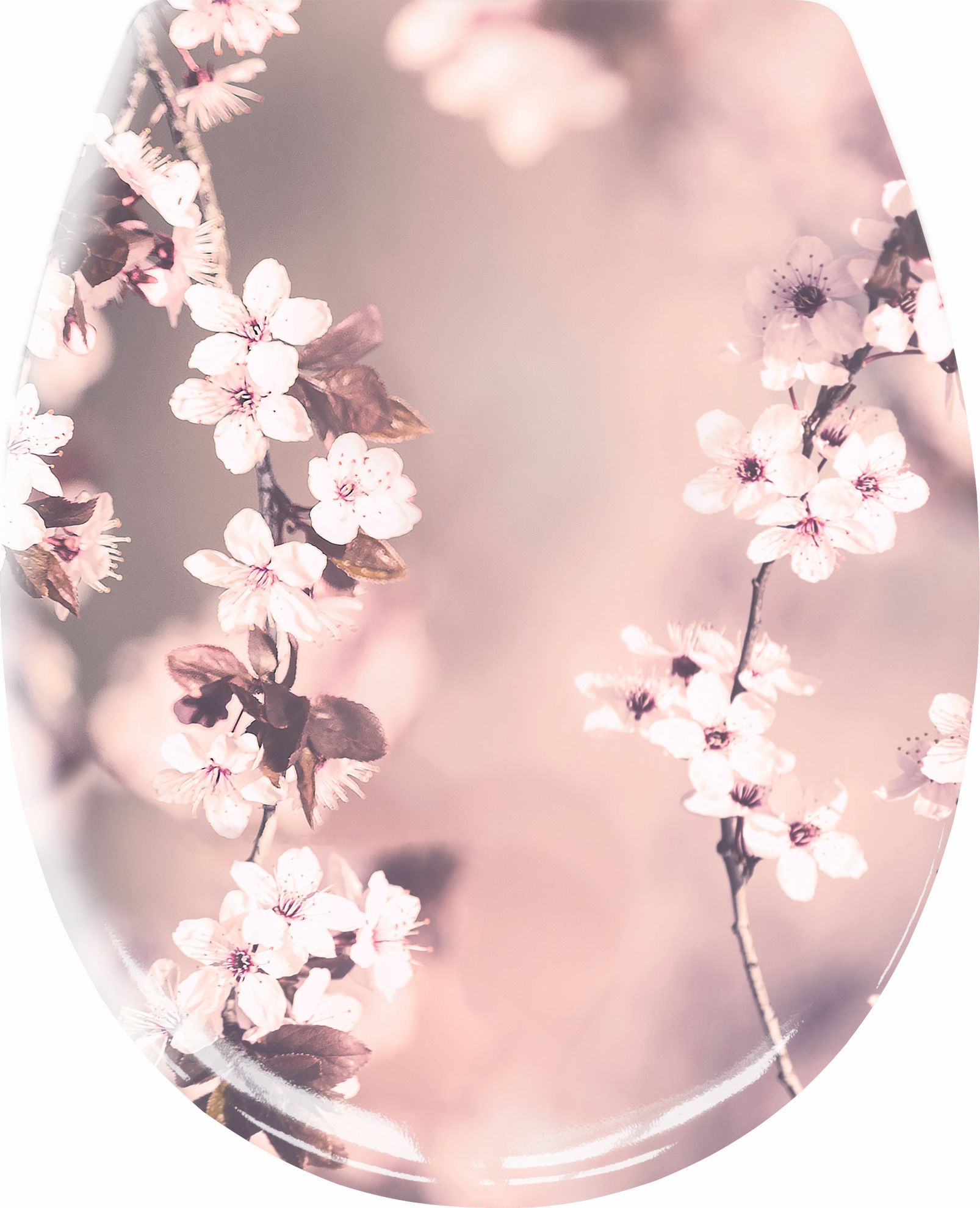 Darmowa Dostawa - Deska sedesowa wolnoopadająca Kleine Wolke Blossom 1857401075