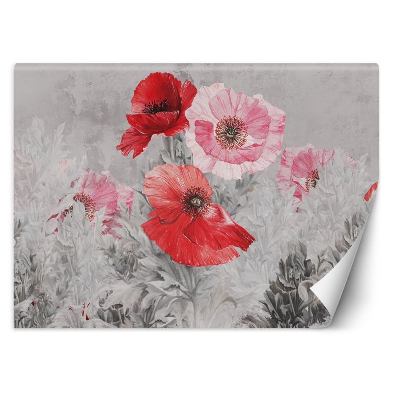 Fototapeta Feeby Czerwone maki akwarela 368x254 1 szt