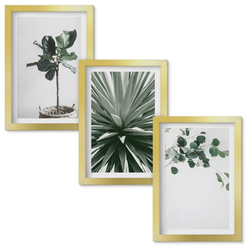 Zestaw obrazów Wallfluent Zielone rośliny minimalizm Złota rama 20x30cm 3 szt.