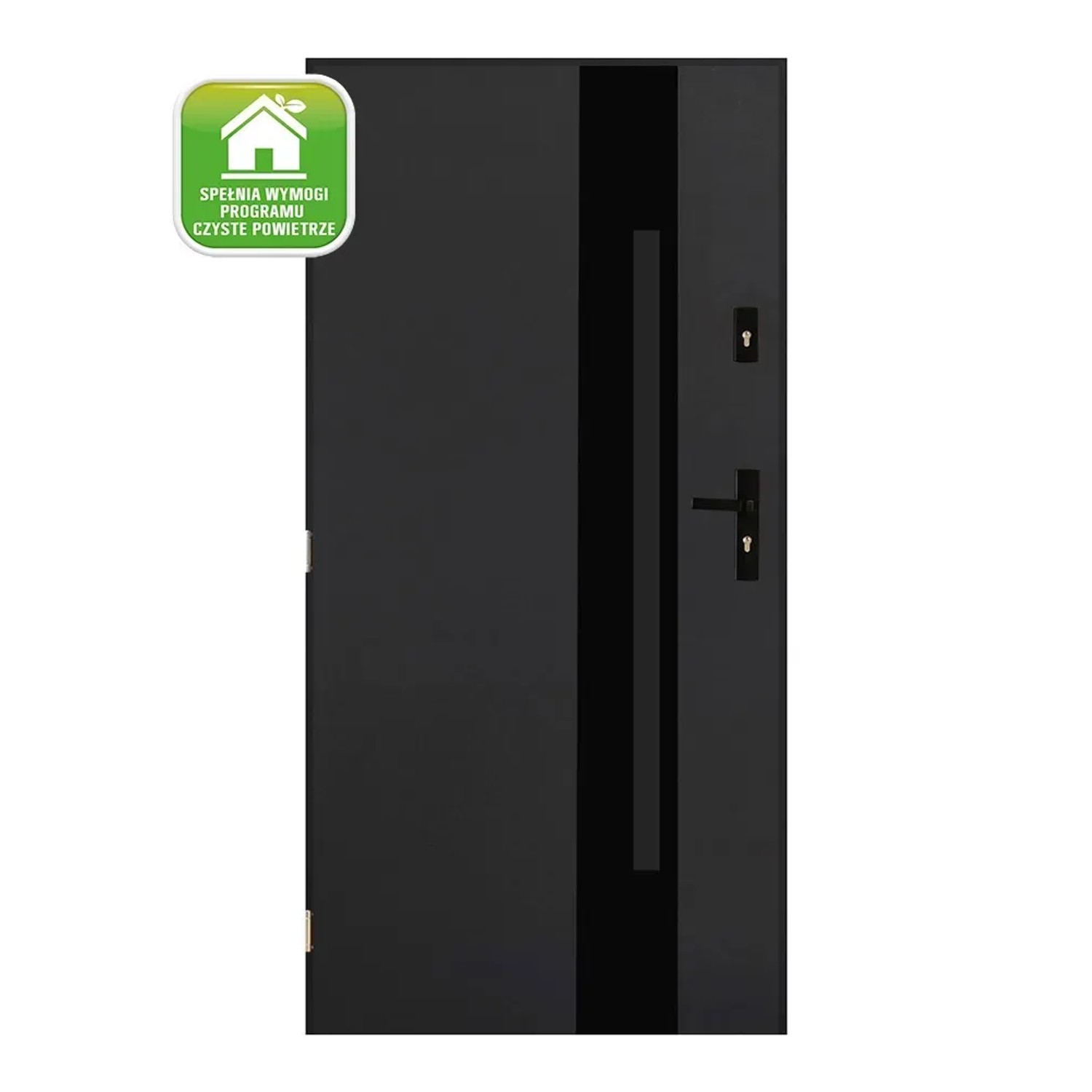 Pantor Drzwi zewnętrzne Madera 2 antracyt 80L