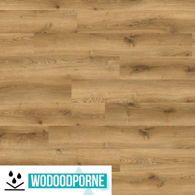 Panele winylowe SPC IVC SOLIDA AC 03826 AMERICAN OAK KL 23-32 5 mm