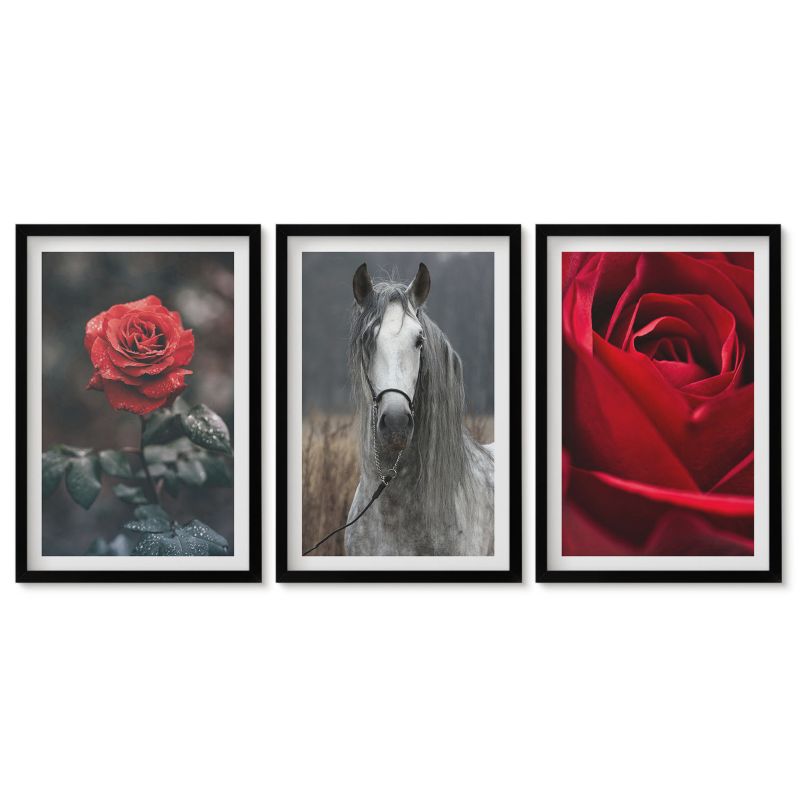 Seria obrazów 3 sztuki Tulup 40x60 cm Czerwone róże koń szary świat Obrazy w czarnej ramie 1 kpl