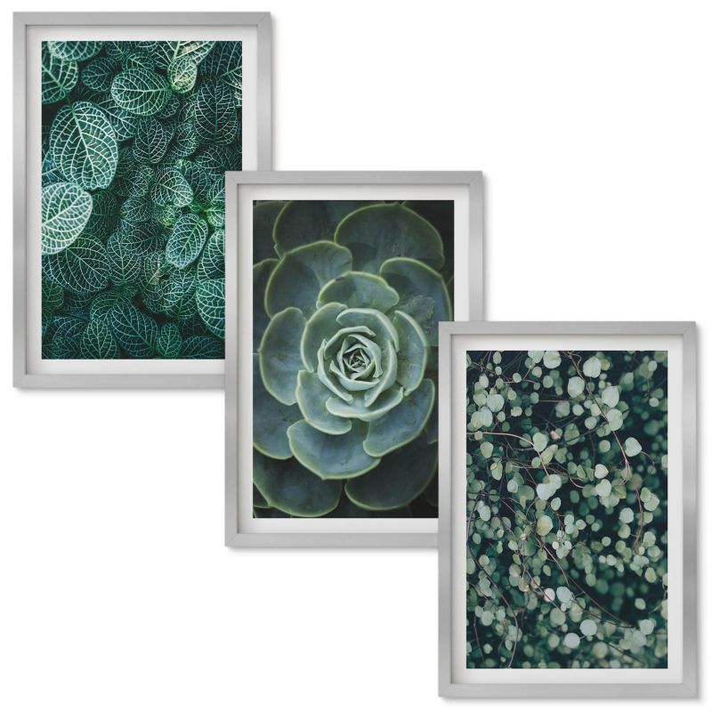 Obrazy Do Sypialni Wallfluent Sukulenty Srebrna rama 40x60 cm 3 szt.