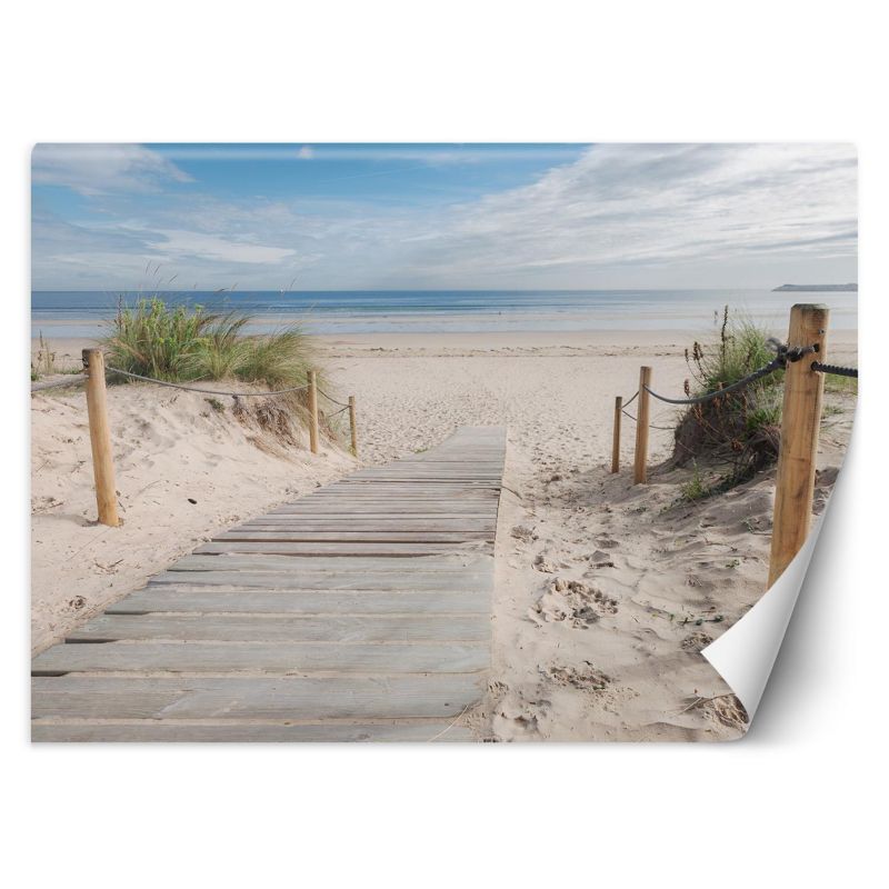 Fototapeta Feeby Droga na plażę krajobraz 254x184 1 szt