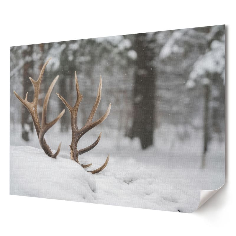 Plakat canvas Wallfluent Format A4 Poroża w śniegu Zespół Artystów Artland 1 szt.