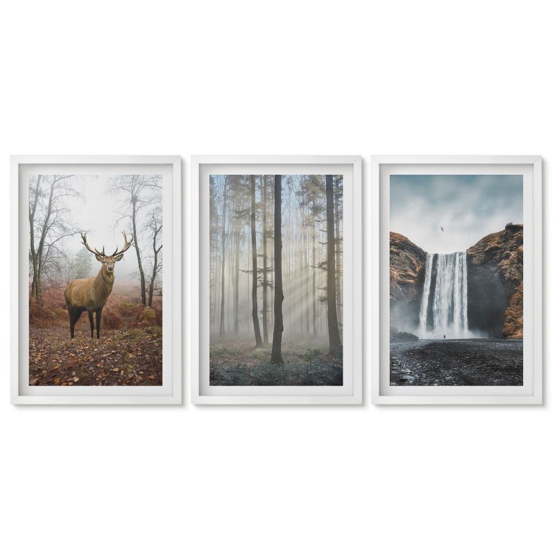 Zestaw 3 obrazów w białej ramie Tulup 40x60 cm Leśne krajobrazy dzika natura Dekoracja ścienna do przedpokoju 1 kpl