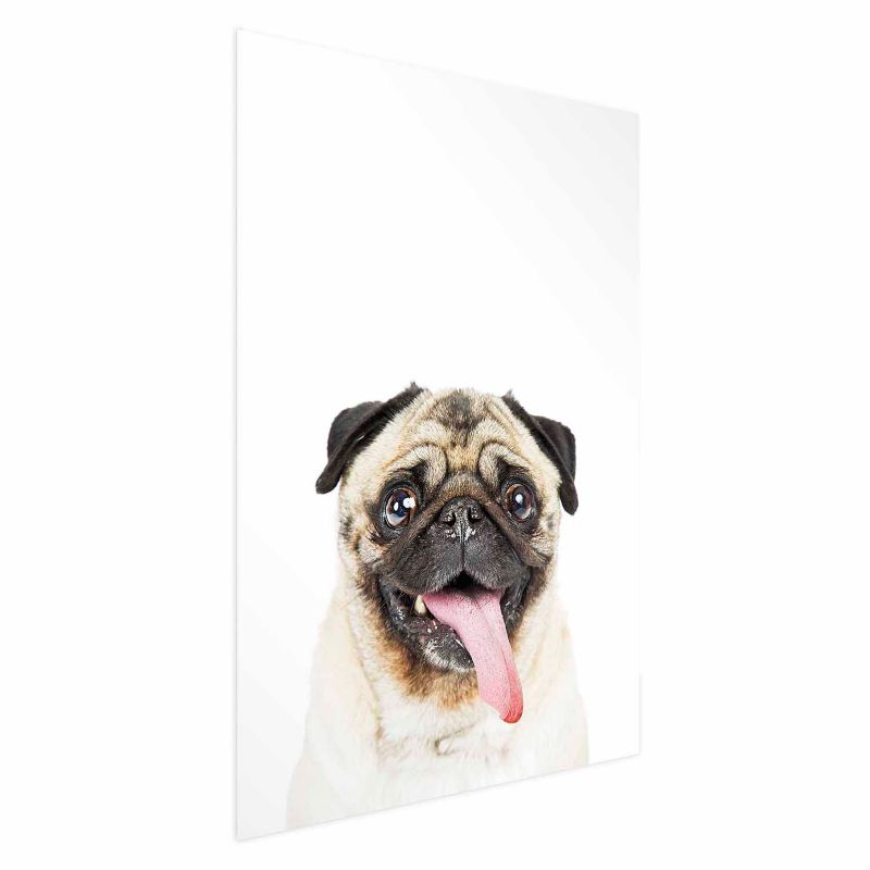 Plakat Artgeist Mops 29,7x42 cm bez ramy 1 szt