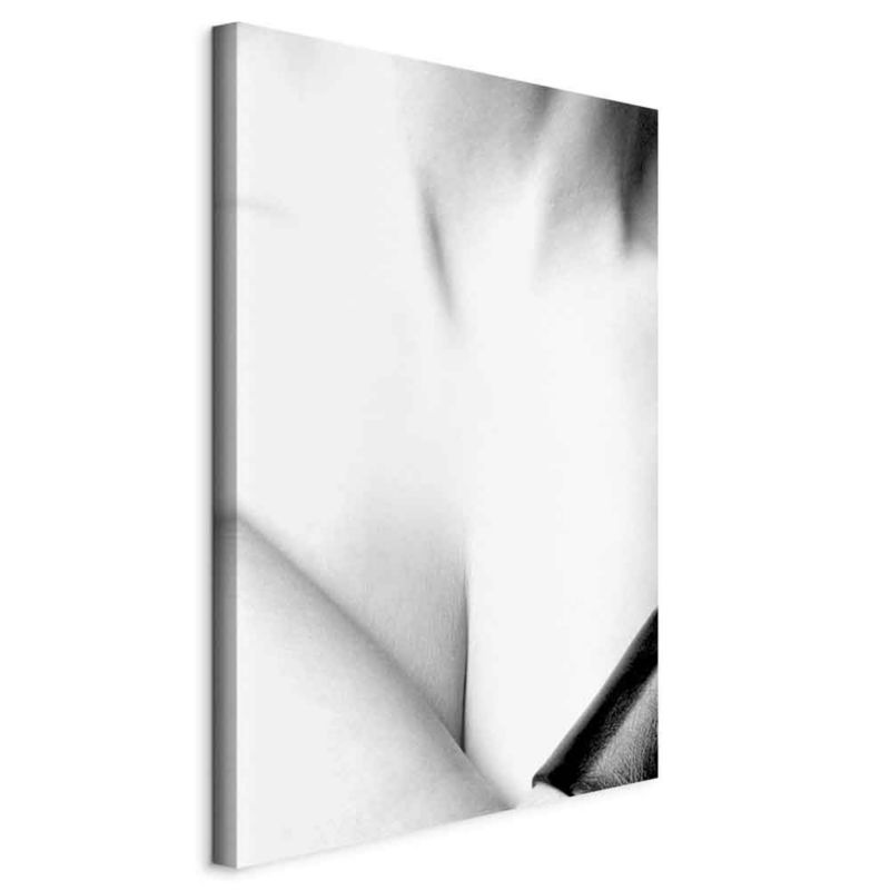 Obraz Artgeist Wdzięk 80 x 120 cm płótno włoskie 1 szt