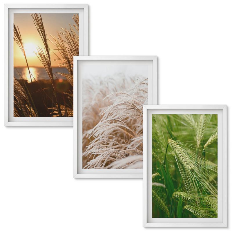 Obrazy Do Sypialni Wallfluent Trawy kolorowa natura Biała rama 40x60 cm 3 szt.