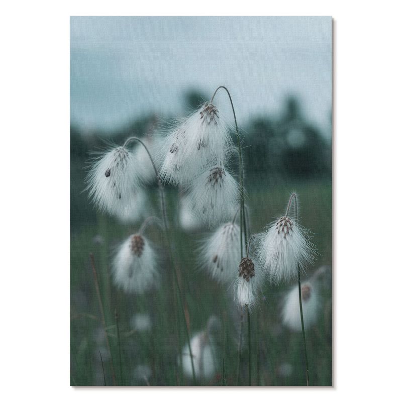Plakat na Płótnie Tulup 42x59,4 cm (A2) Kłosy traw Do salonu, sypialni, biura 1 szt.