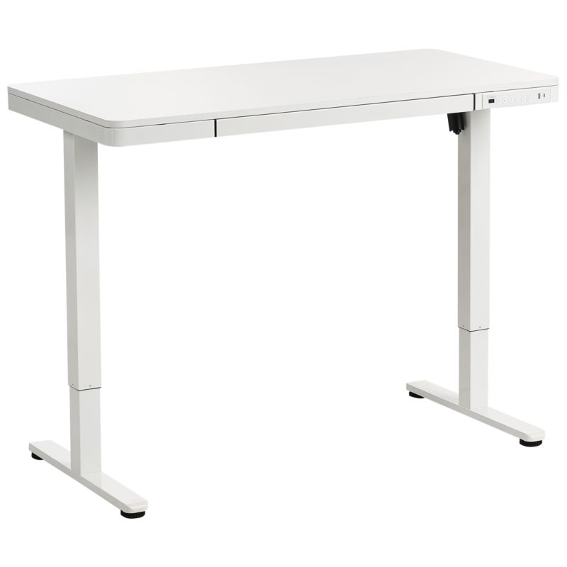 Biurko regulowane elektrycznie Penly Biały 120 cm 60 cm Z portem USB 1 szt.