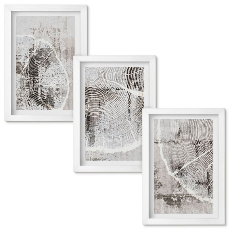 Obrazy do Salonu Wallfluent Wzory słojów drewna szarości Biała rama 20x30cm 3 szt.