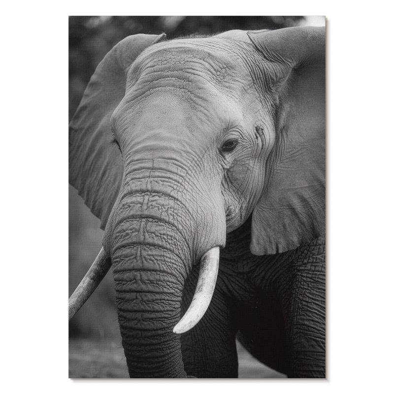 Obraz Plakat Canvas Tulup 29,7x42 cm (A3) Słoniowy portret Do salonu, biura, sypialni 1 szt.