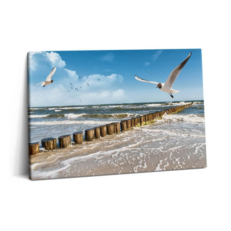 Obraz na płótnie Wallfluent 60x40 cm Ptak nad morzem 1 szt.