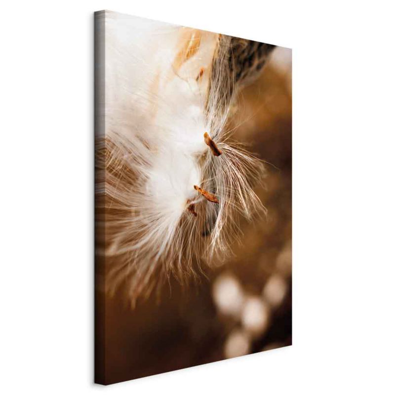 Obraz Artgeist Lekkie kołysanie 60 x 90 cm płótno włoskie 1 szt
