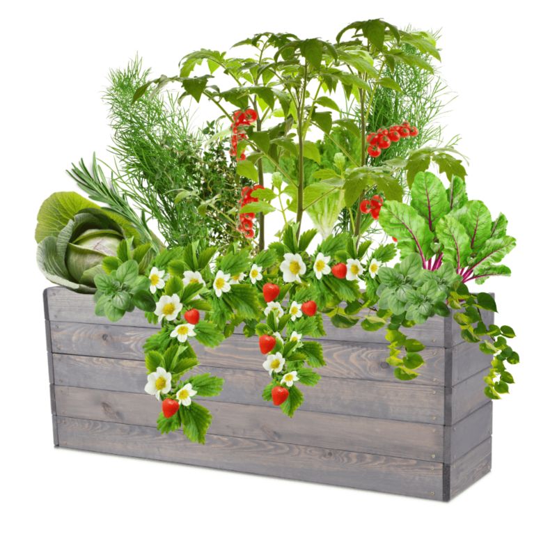 Warzywnik MODO24 grządka szara impregnacja 45x120x30 cm 1 szt.
