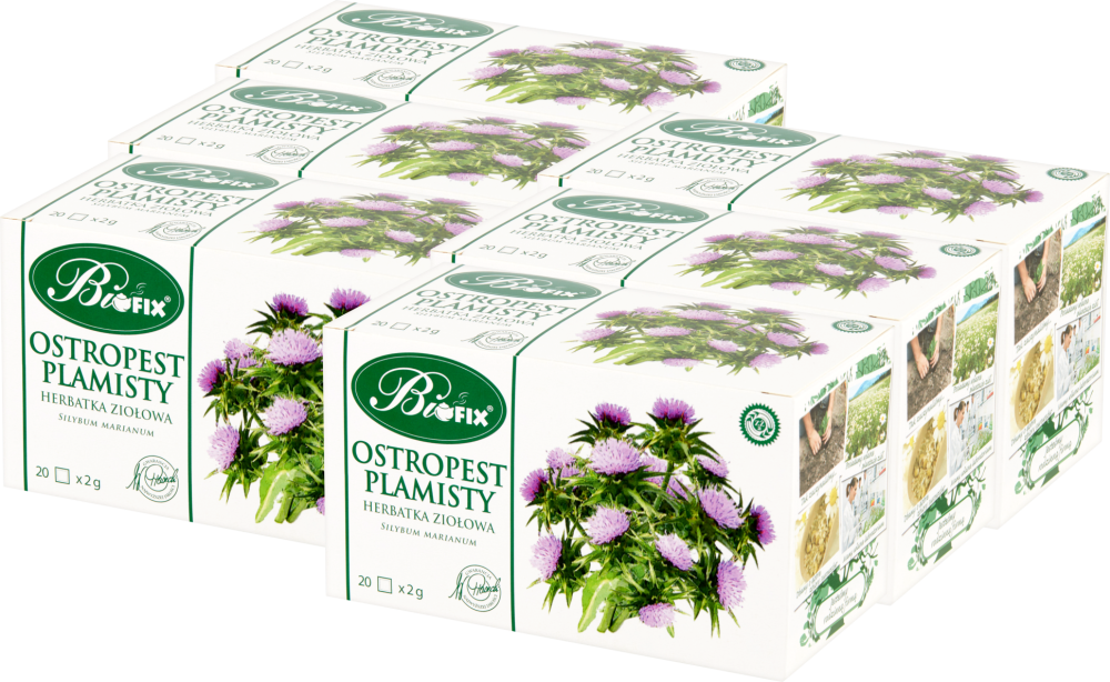 6x Herbata ziołowa w torebkach BiFix, ostropest plamisty, 20 sztuk x 2g