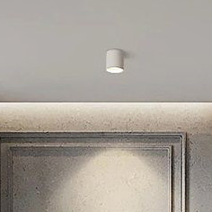 Abigali Vaiolett lampa podsufitowa 1x15W LED biała DL15W-NW