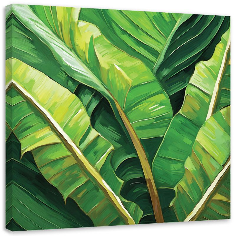 Obraz do salonu kuchni Feeby Liście Bananowca Zielony 50x50 cm 1szt