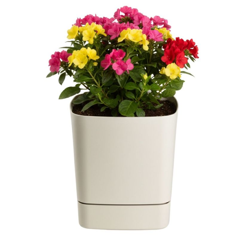 Donica z podstawką CUBI HowHomely plastikowa beżowa kwadratowa 19x19 cm 1 szt.