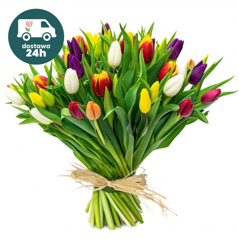 Kolorowe tulipany od 25 do 75 sztuk