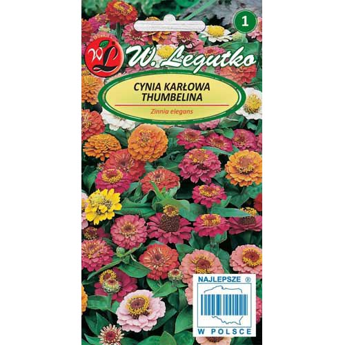 1 pac, Zinnia (Cârciumăreasă) Thumbelina, mix multicolor Legutko - Semințe: Mod de ambalare: 0.5 g