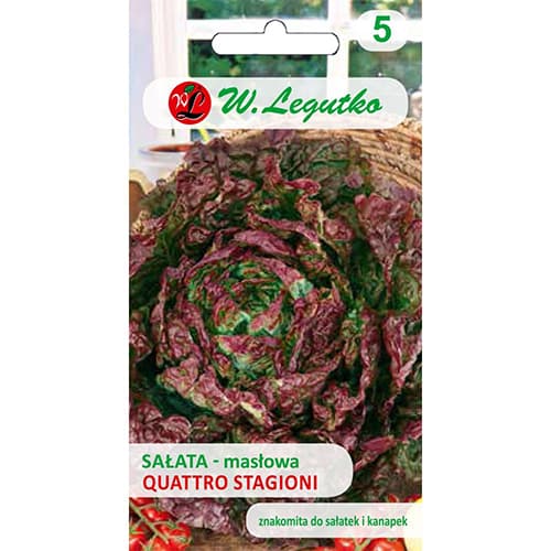 1 szt, Kopfsalat Quattro stagioni - Samen: Ilość w opakowaniu: 1 g