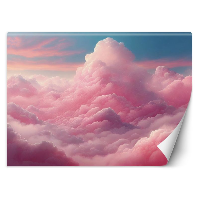 Fototapeta Feeby Różowe chmury 100x70 1 szt