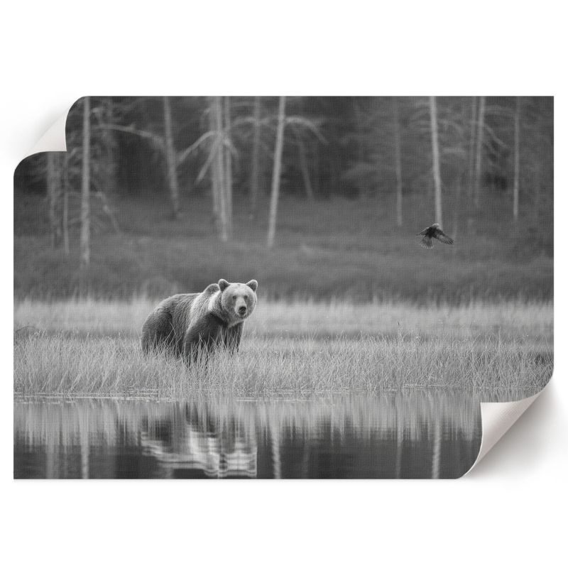 Plakat Dekoracyjny ArtPrintCave 84x59,5 cm Leśna scena Ivara 1 szt.