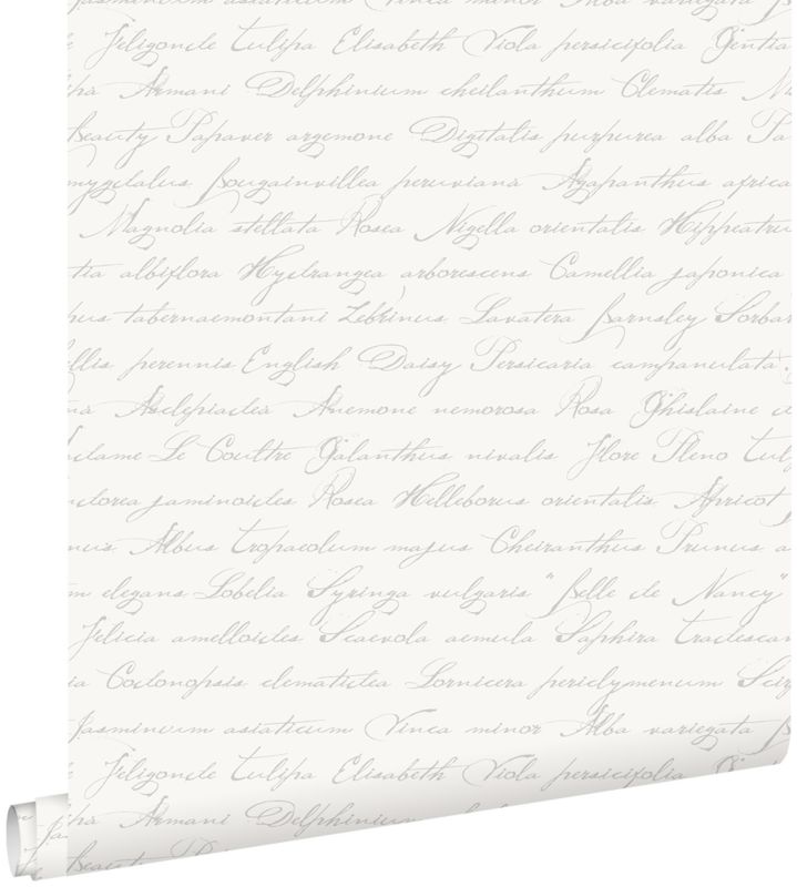 Tapeta ESTAhome odręczne łacińskie nazwy kwiatów srebrnym 53 cm x 10.05 m - 1 rol.