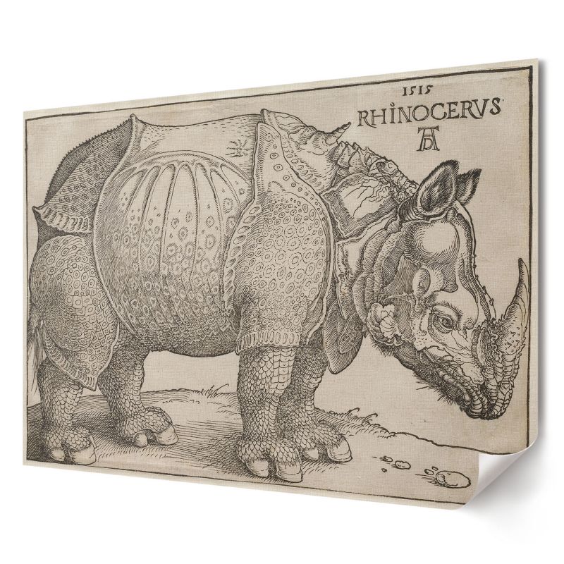Plakat na ścianę Wallfluent Format A3 Nosorożec Artysta Albrecht Dürer 1 szt.