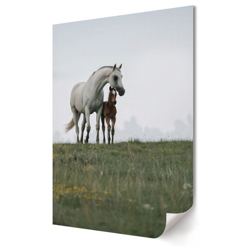 Plakat canvas Wallfluent Format A1 Konie na łące Artysta ArTi 1 szt.
