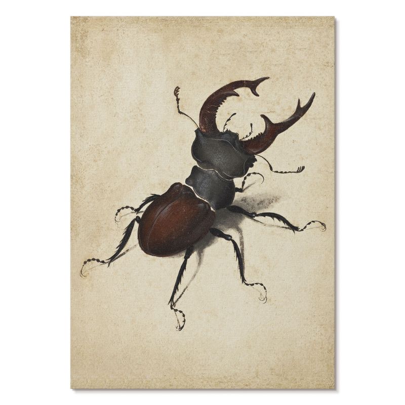 Plakat na Płótnie Tulup 29,7x42 cm (A3) Jelonek rogacz Do sypialni, salonu, biura 1 szt.