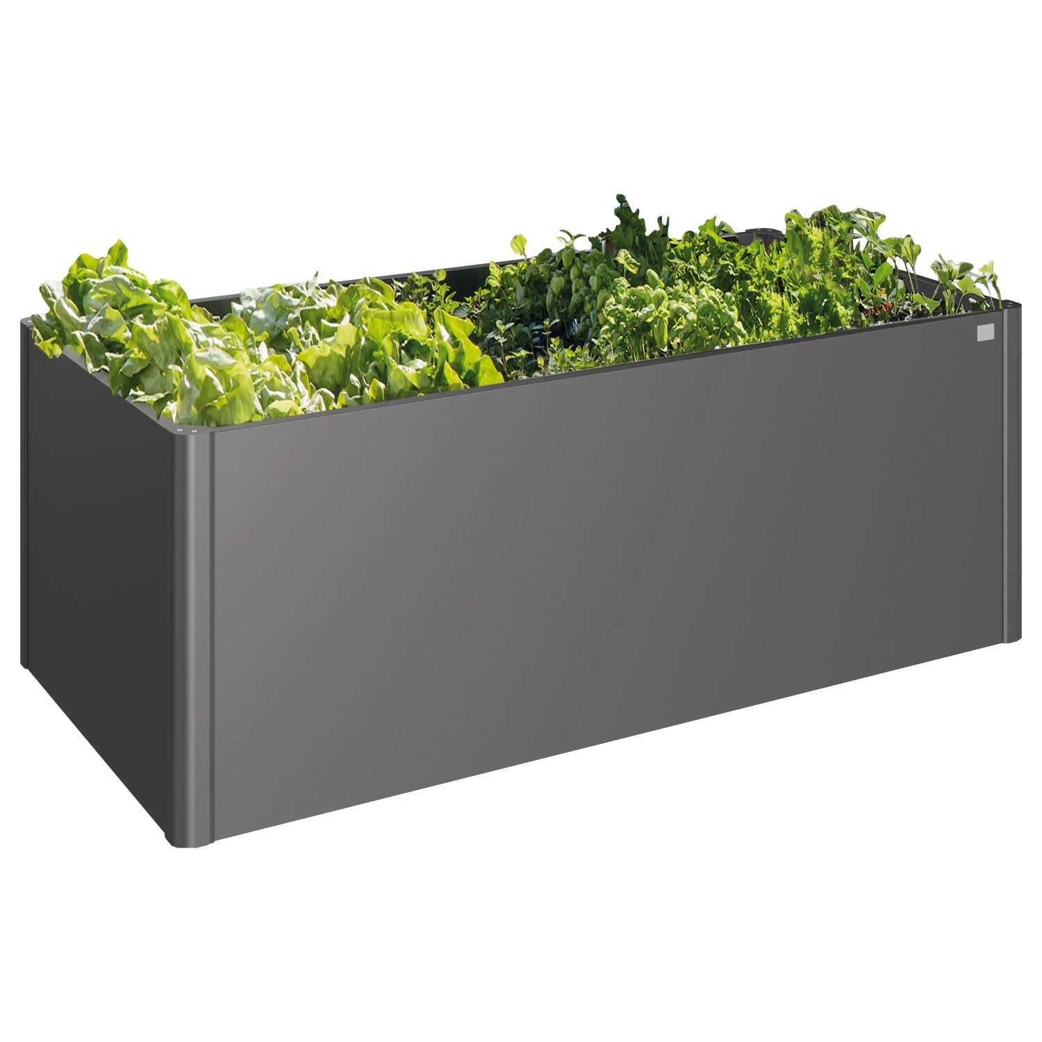 Biohort Podwyższona grządka metalowa ciemnoszara metaliczna 77 x 201 x 102 cm