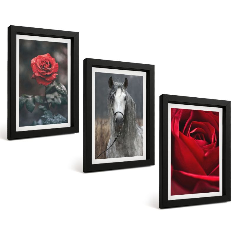 Zestaw Obrazów 3 Częściowy ArtPrintCave Czarne Ramki 20x30 cm Dekoracja do Sypialni Czerwone róże koń szary świat 1 kpl.