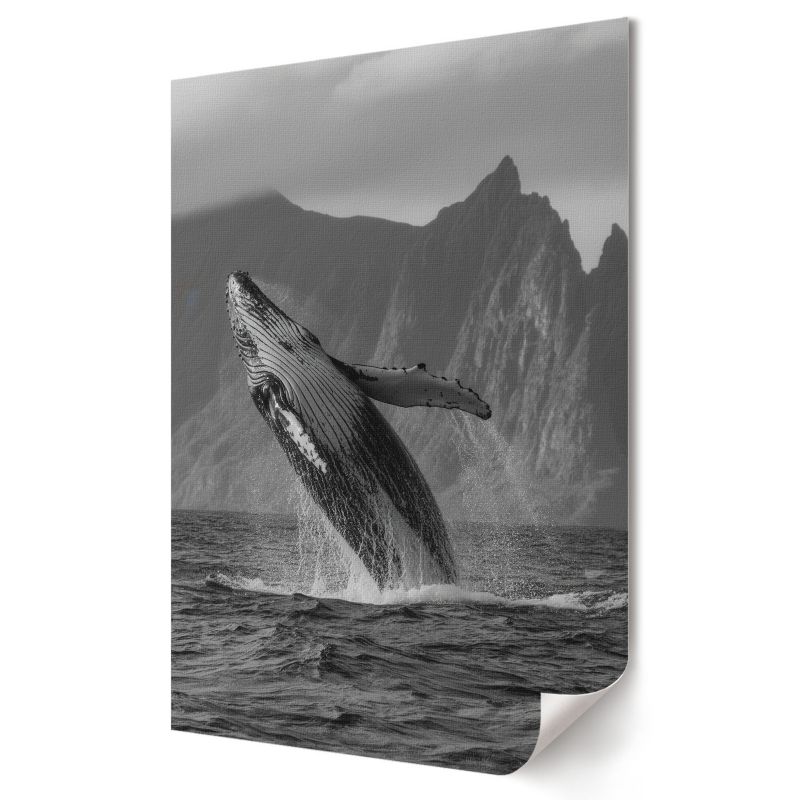 Plakat canvas Wallfluent Format A2 Skok wieloryba Formacja Artystyczna Monako 1 szt.