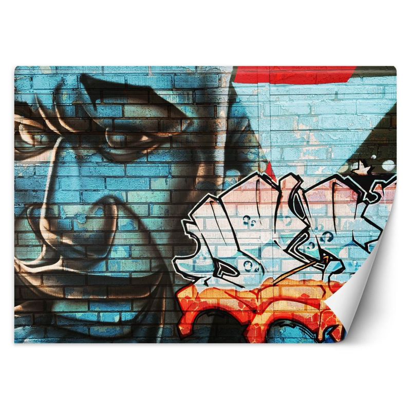 Fototapeta Feeby Graffiti na murze niebieska twarz 200x140 1 szt