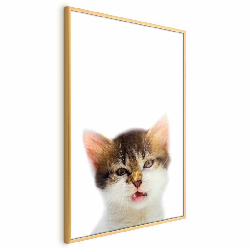Plakat Artgeist Zirytowany kot 29,7x42 cm z ramą złotą bez marginesu 1 szt