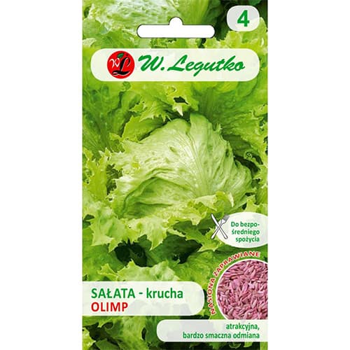 1 szt, Eissalat Olimp - Samen: Ilość w opakowaniu: 1 g