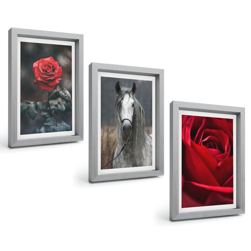 Zestaw Obrazów 3 Częściowy ArtPrintCave Srebrne Ramki 20x30 cm Dekoracja do Sypialni Czerwone róże koń szary świat 1 kpl.