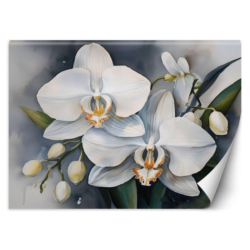 Fototapeta Feeby Kwiat orchidei Abstrakcja 450x315 1 szt