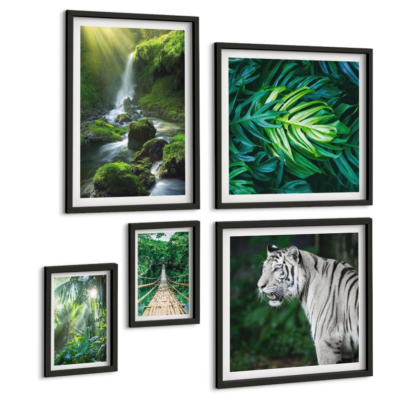 Galeria 5 Obrazów ArtPrintCave (2x50x50+2x20x30+40x60cm) Czarna rama Dżungla biały tygrys wodospad 1 kpl.