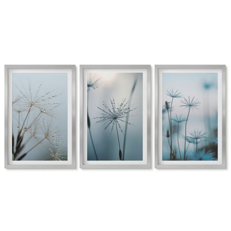 Obrazy w srebrnej ramie Tulup 40x60 cm Dmuchawce z kroplami wody Obrazy do kuchni w ramie 1 kpl
