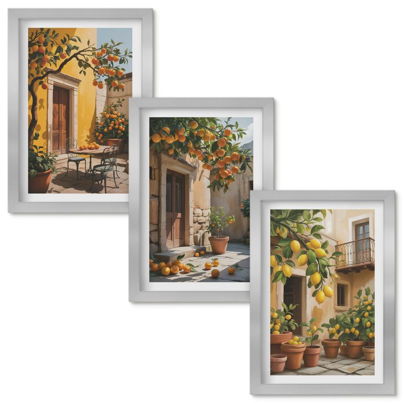 Set Obrazów w Ramie Wallfluent Owoce cytrusowe dziedziniec rośliny Srebrna rama 20x30cm 3 szt.