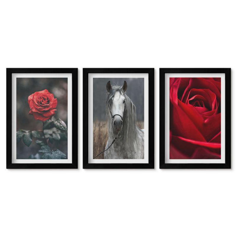 Seria obrazów 3 sztuki Tulup 20x30 cm Czerwone róże koń szary świat Obrazy w czarnej ramie 1 kpl