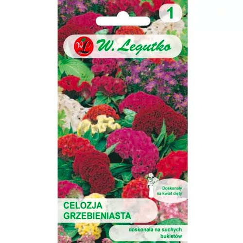 1 szt, Celozja grzebieniasta, mix - Nasiona: Ilość w opakowaniu: 0.3 g