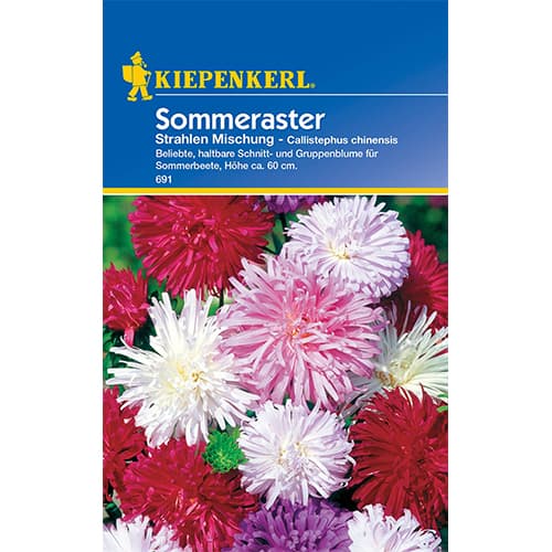 1 szt, Aster Strahlen, mix kolorow - Nasiona: Ilość w opakowaniu: 400 szt.